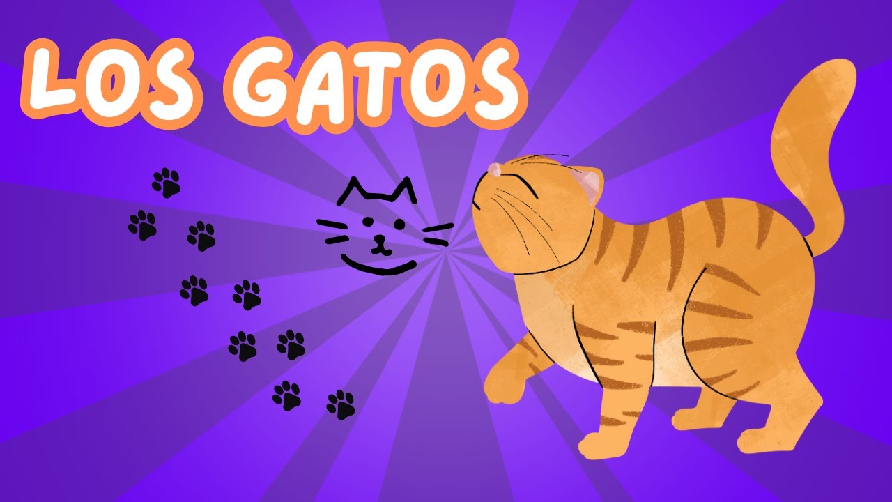 LOS GATOS | Aprende los Animales para niños